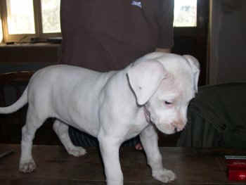 Uranie d�j� un bon petit caract�re ! 