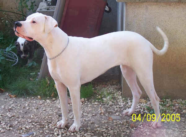 Une de mes photos pr�f�r� de Ranie, � 10 mois on dirait un petit ange de douceur ... 