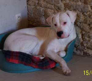 Pr�te pour un petit somme ! 