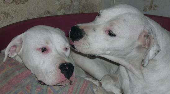 Uranie et sa m�man ! 