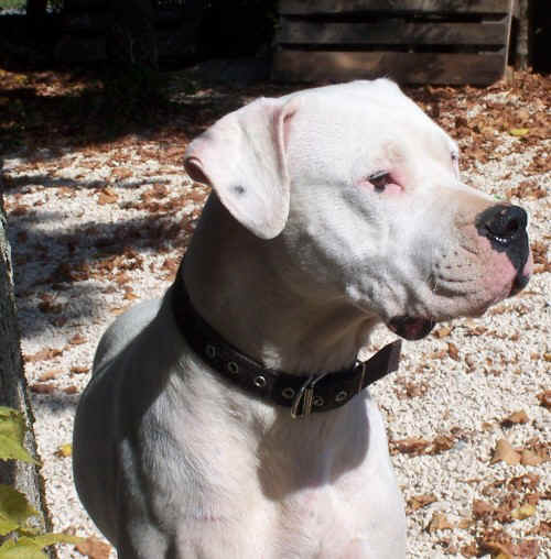  La je fais ma belle...  