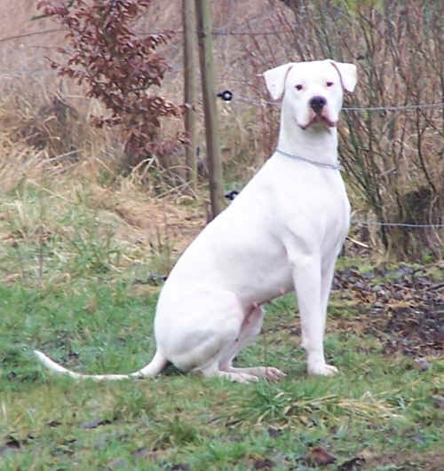 Uranie et son petit cot� curieuse  ... 