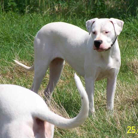 Et si on jouait un peu ... 